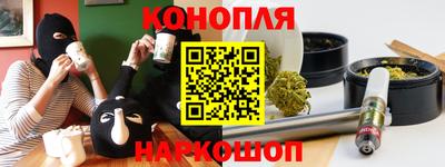 прущие грибы Обь