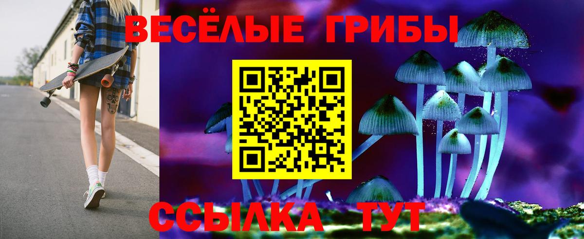 Псилоцибиновые грибы ЛСД  Вход с VPN  закладки  Псилоцибиновые грибы ЛСД  Приморско-Ахтарск 